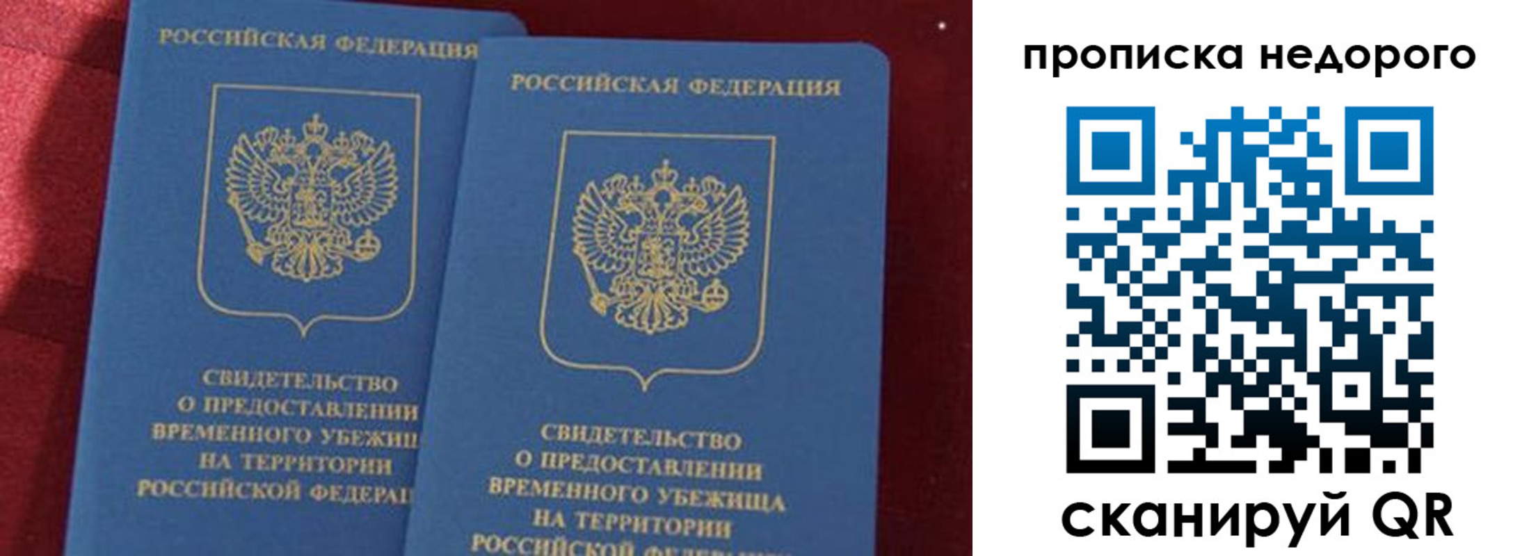 прописка гарантия в Зеленоградске